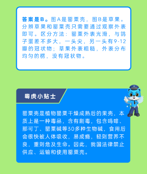 截图录屏_选择区域_20250617095743.png