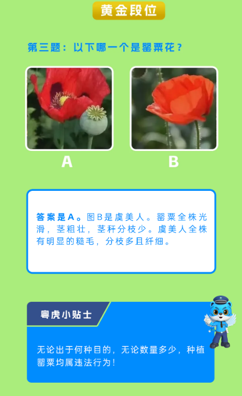 截图录屏_选择区域_20250617095817.png
