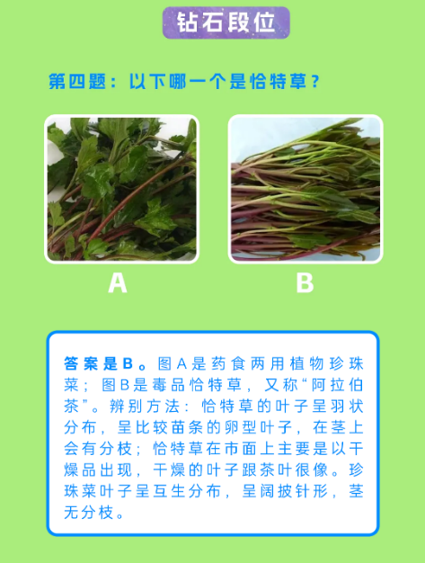 截图录屏_选择区域_20250617095858.png