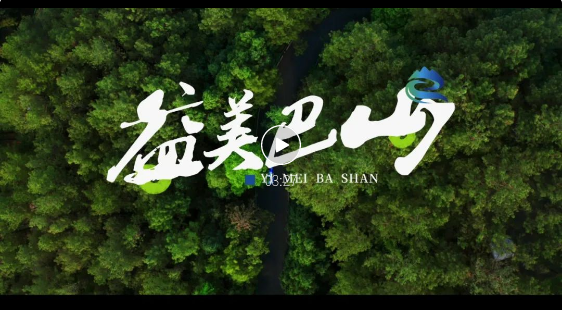 截图录屏_选择区域_20250812161808.png