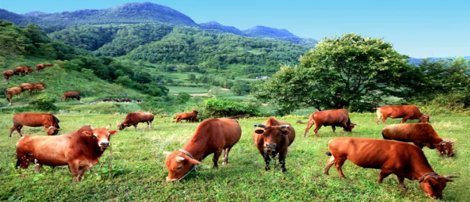 截图录屏_选择区域_20251105110703.png 截图录屏_选择区域_20251105110703.png