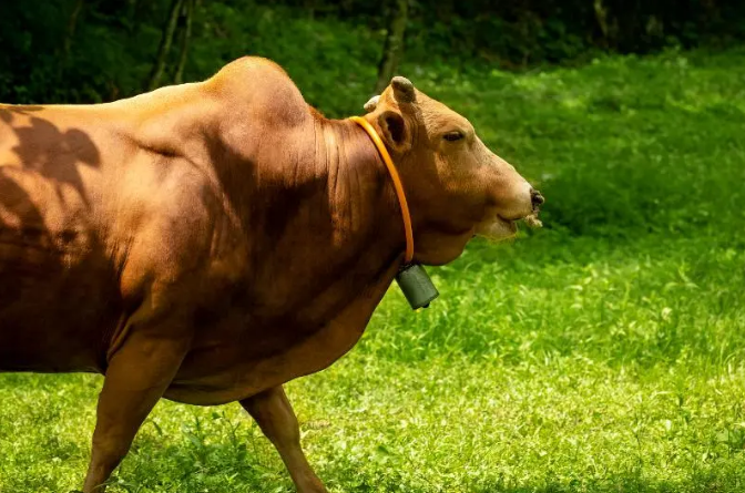 截图录屏_选择区域_20251105110642.png 截图录屏_选择区域_20251105110642.png