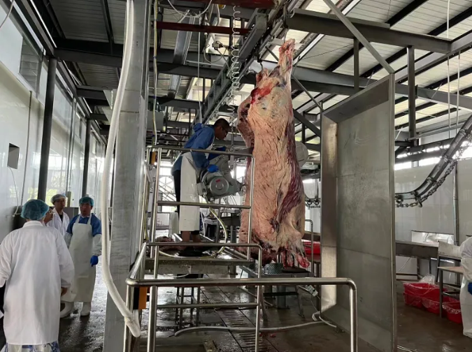 截图录屏_选择区域_20251105110617.png 截图录屏_选择区域_20251105110617.png