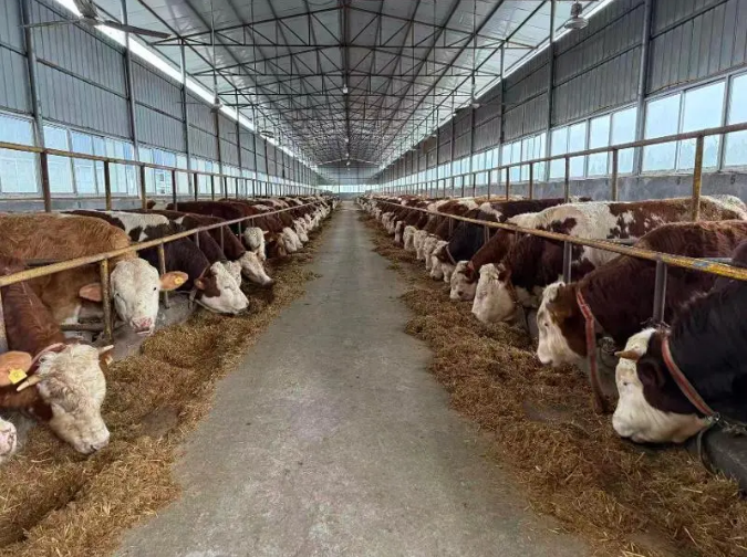 截图录屏_选择区域_20251105110632.png 截图录屏_选择区域_20251105110632.png