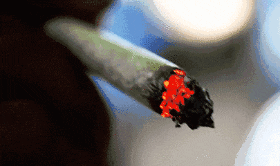 640 (2).gif 640 (2).gif