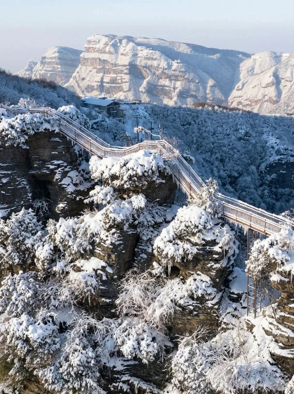 截图录屏_选择区域_20260203094342.png 截图录屏_选择区域_20260203094342.png