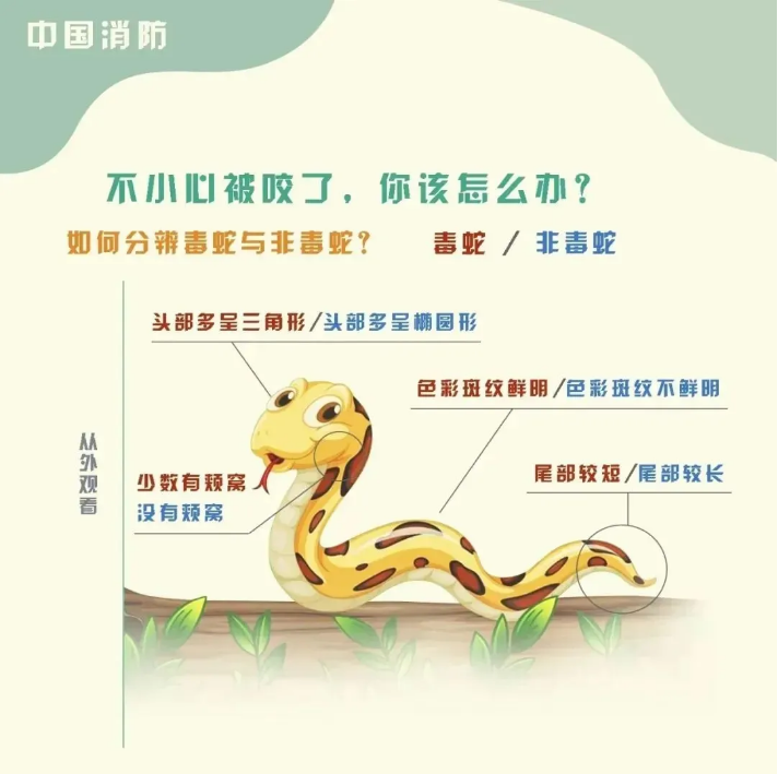 截图录屏_选择区域_20260423101240.png