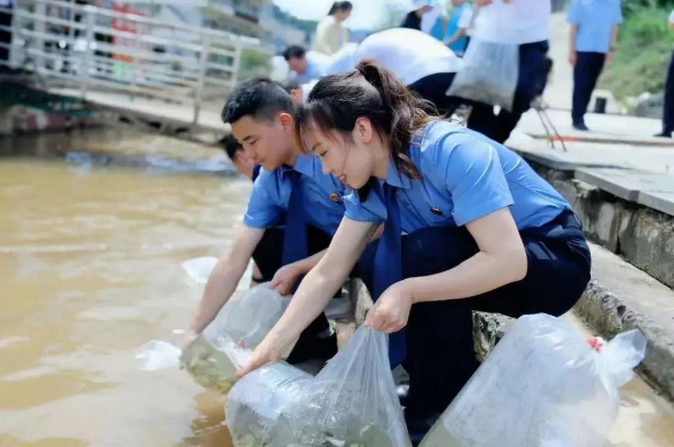 截图录屏_选择区域_20230714093431.png