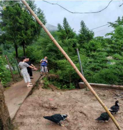 截图录屏_选择区域_20240712091653.png