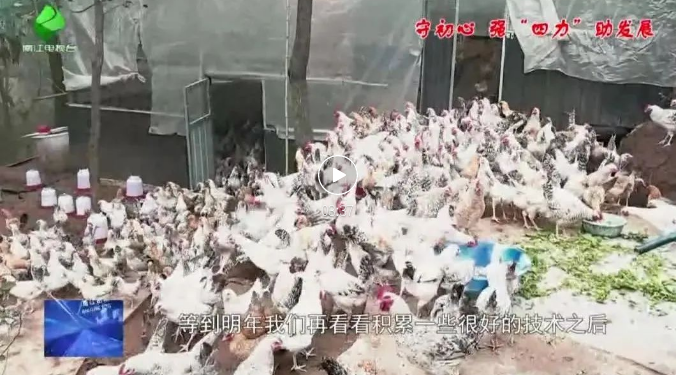 截图录屏_选择区域_20241129101831.png