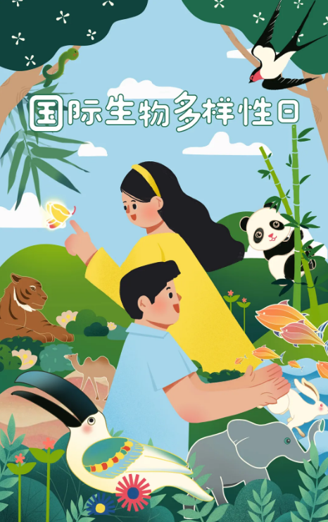 截图录屏_选择区域_20250523091842.png