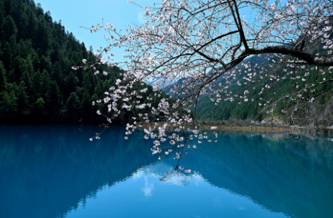 截图录屏_选择区域_20250605145819.png
